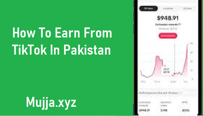 How To Earn From TikTok In Pakistan